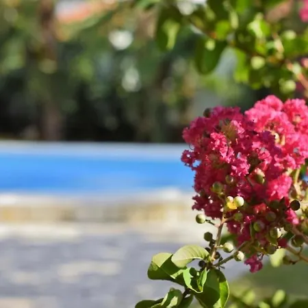 In With Balcony, Air Conditioning, Wifi 819-7 بوريتش