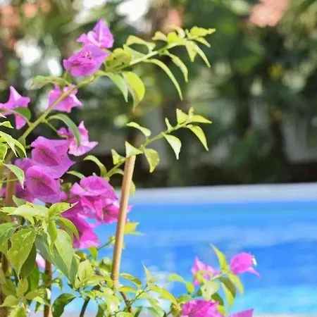 In With Balcony, Air Conditioning, Wifi 819-7 شقة بوريتش