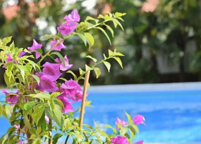 In With Balcony, Air Conditioning, Wifi 819-7 Lejlighed Poreč